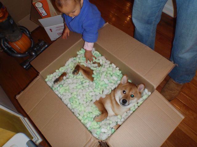 morning picdump 52 pics 4.html - 52 HD Photos | Premium Gallery 2014