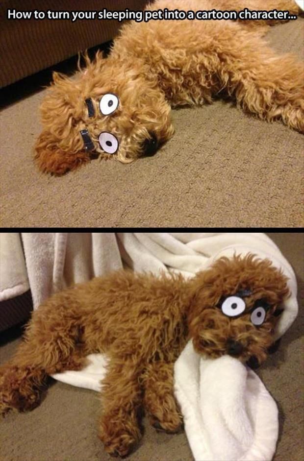 morning picdump 52 pics 4.html - 52 HD Photos | Premium Gallery 2014