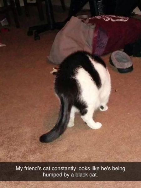 Morning Picdump