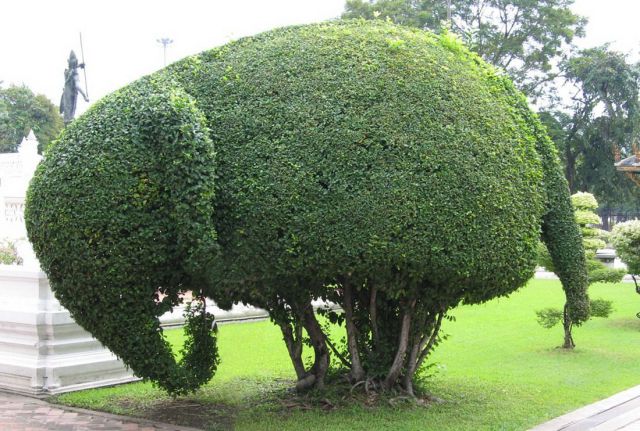 Morning Picdump