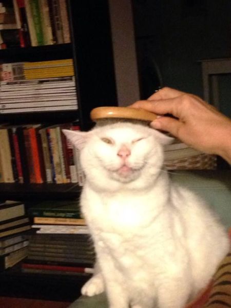 Daily Picdump