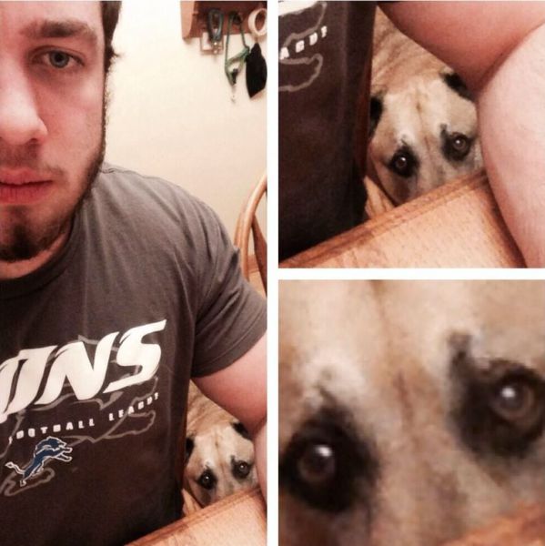 Daily Picdump