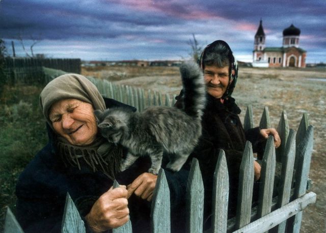 Daily Picdump