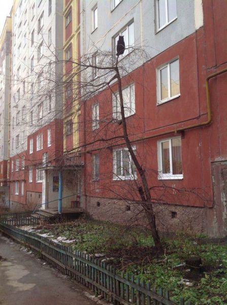 Morning Picdump