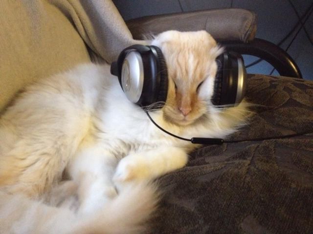 Morning Picdump