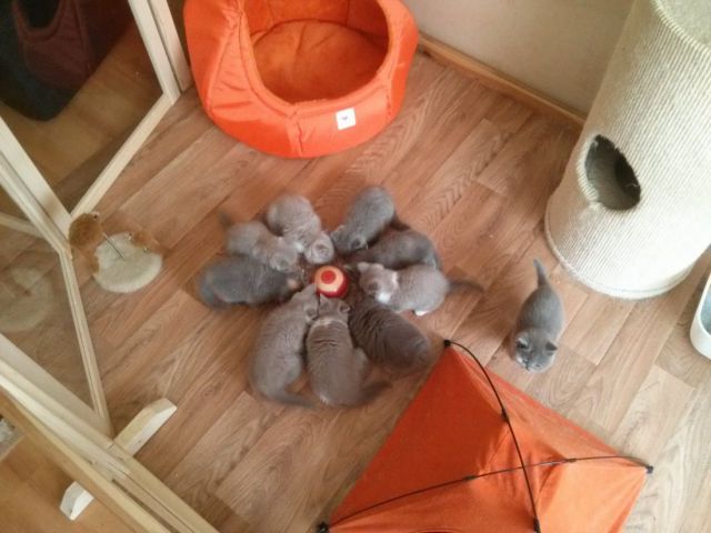 Morning Picdump