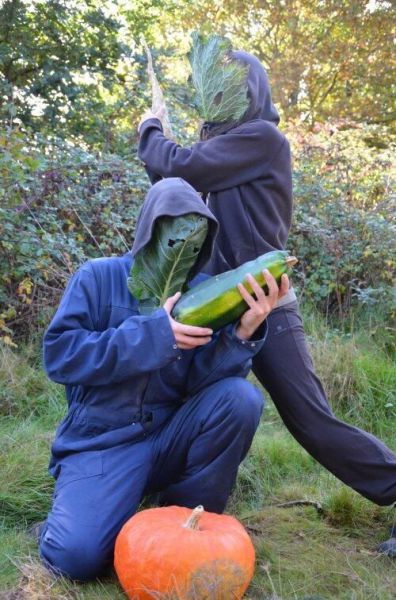 Morning Picdump