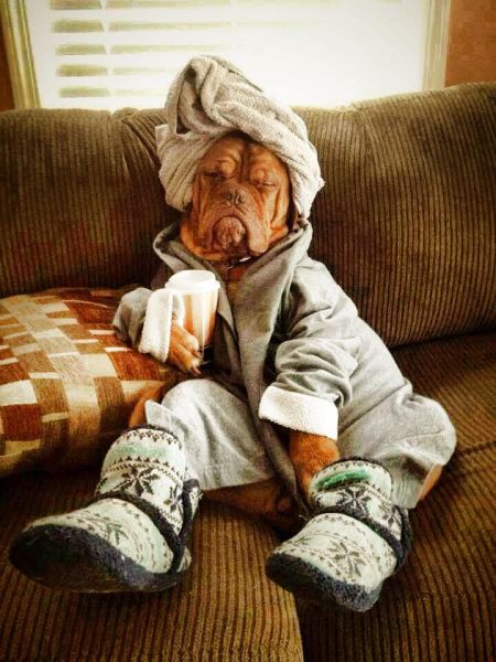 Morning Picdump