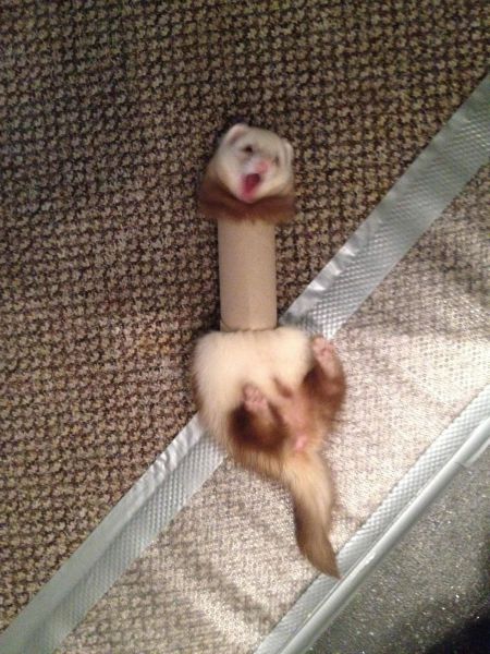 morning picdump 51 pics 15.html - 51 HD Photos | Premium Gallery 2014