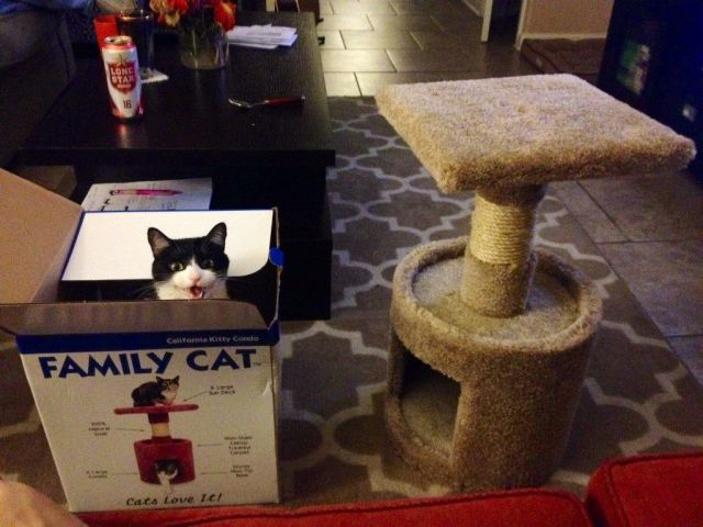 morning picdump 51 pics 15.html - 51 HD Photos | Premium Gallery 2014