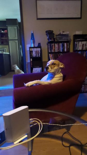 morning picdump 51 pics 15.html - 51 HD Photos | Premium Gallery 2014