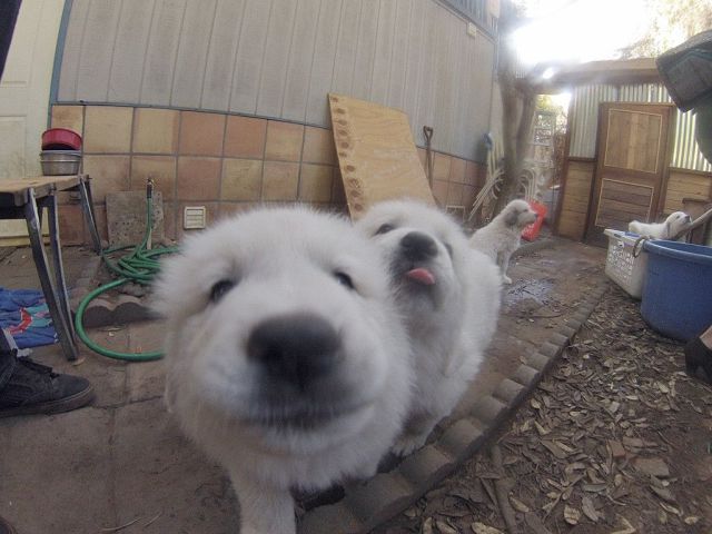 morning picdump 51 pics 15.html - 51 HD Photos | Premium Gallery 2014