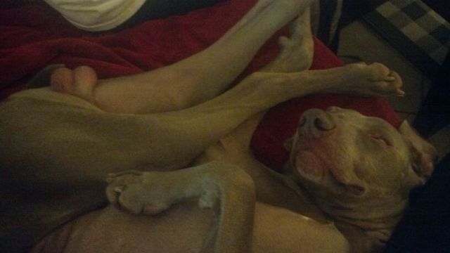 morning picdump 51 pics 15.html - 51 HD Photos | Premium Gallery 2014