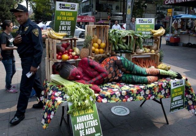 morning picdump 55 pics 2.html - 55 HD Photos | Premium Gallery 2014