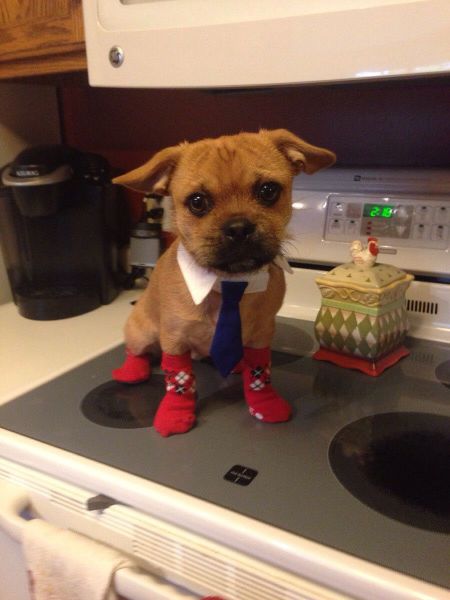 morning picdump 55 pics 2.html - 55 HD Photos | Premium Gallery 2014