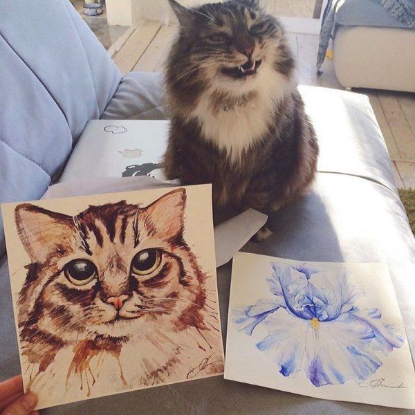 morning picdump 55 pics 2.html - 55 HD Photos | Premium Gallery 2014