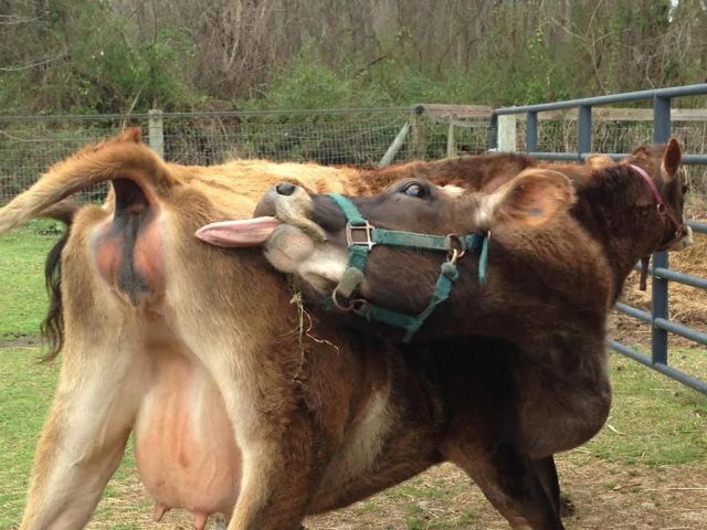 morning picdump 55 pics 2.html - 55 HD Photos | Premium Gallery 2014