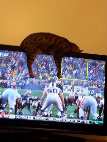 morning picdump 55 pics 2.html - 55 HD Photos | Premium Gallery 2014