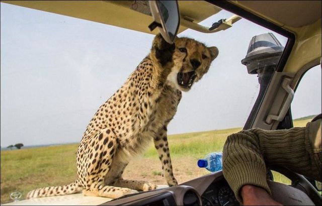 morning picdump 55 pics 2.html - 55 HD Photos | Premium Gallery 2014