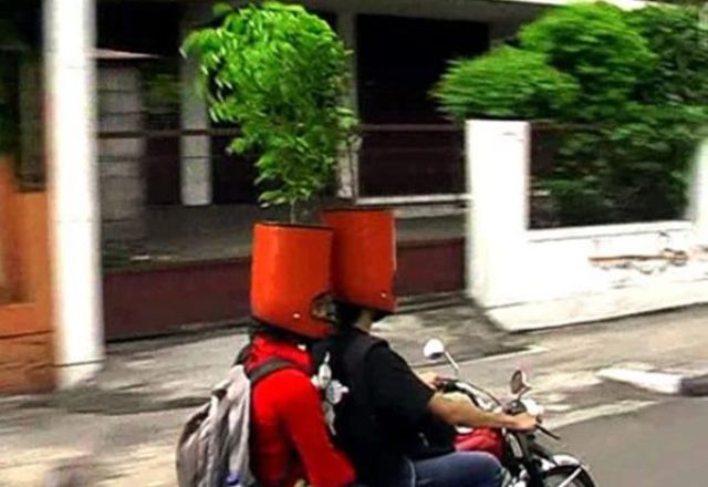 Things You Will Only See in Asia
