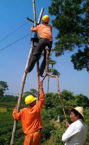 Things You Will Only See in Asia