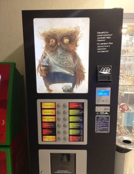 Morning Picdump