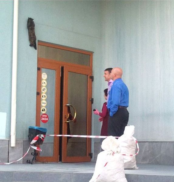 Morning Picdump
