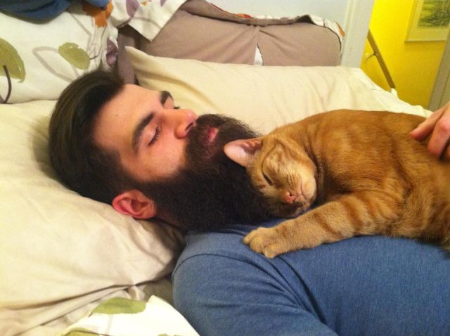 Morning Picdump