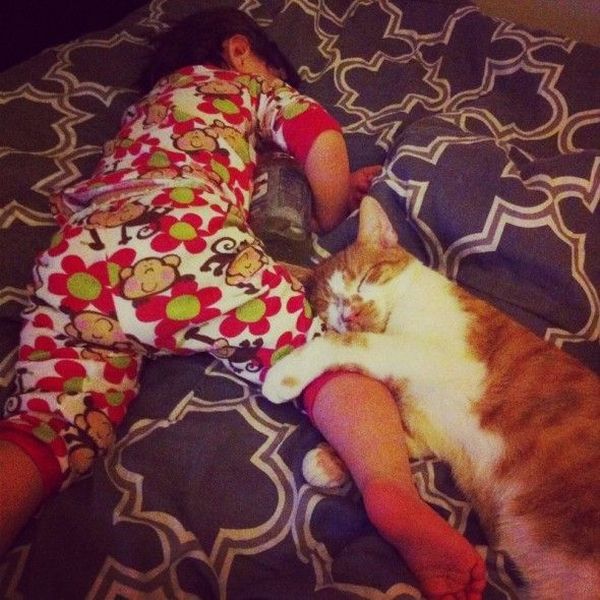 Morning Picdump