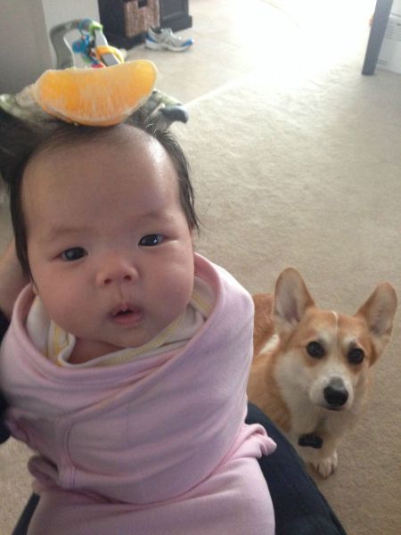 Morning Picdump