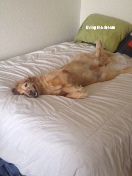 Morning Picdump