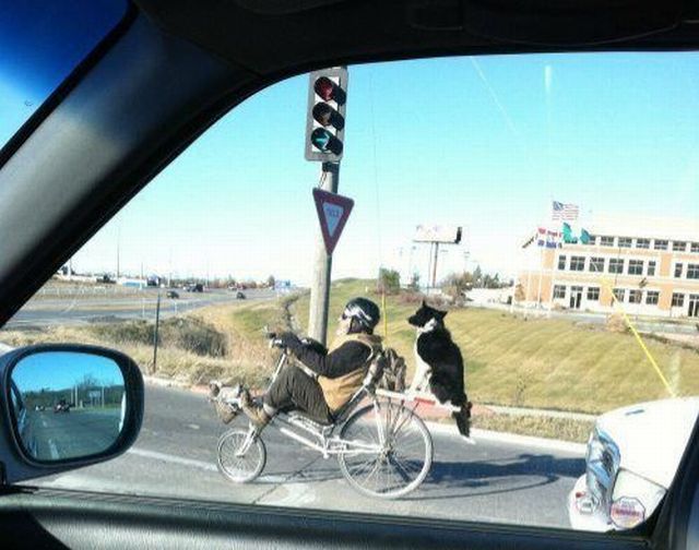 morning picdump 54 pics 25.html - 54 HD Photos | Premium Gallery 2014