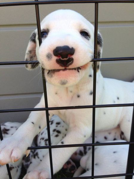 morning picdump 54 pics 25.html - 54 HD Photos | Premium Gallery 2014