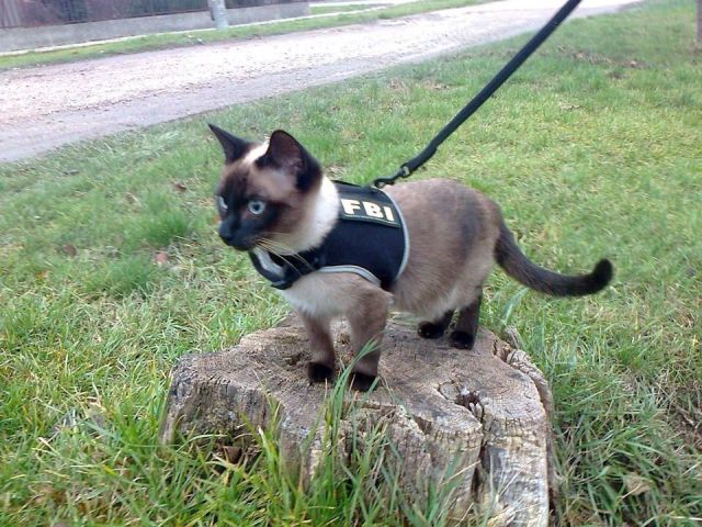 morning picdump 54 pics 25.html - 54 HD Photos | Premium Gallery 2014