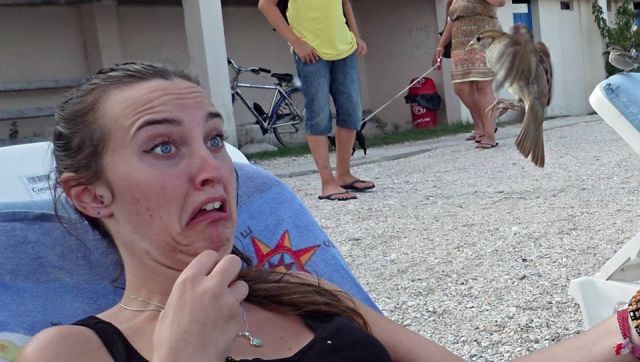 Morning Picdump