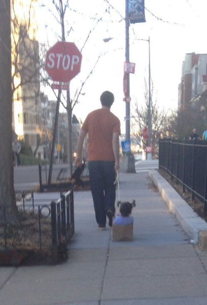 morning picdump 55 pics 9.html - 55 HD Photos | Premium Gallery 2014