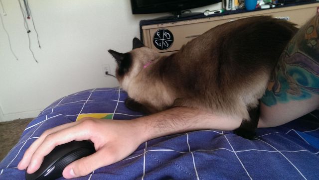 morning picdump 55 pics 9.html - 55 HD Photos | Premium Gallery 2014