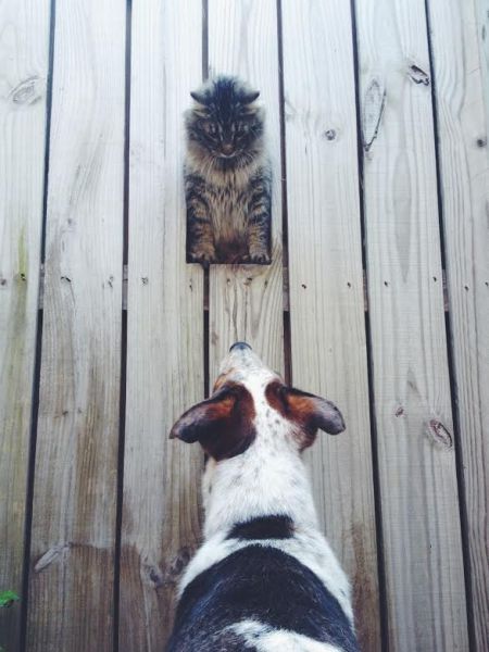 Morning Picdump