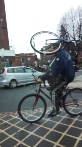 Morning Picdump
