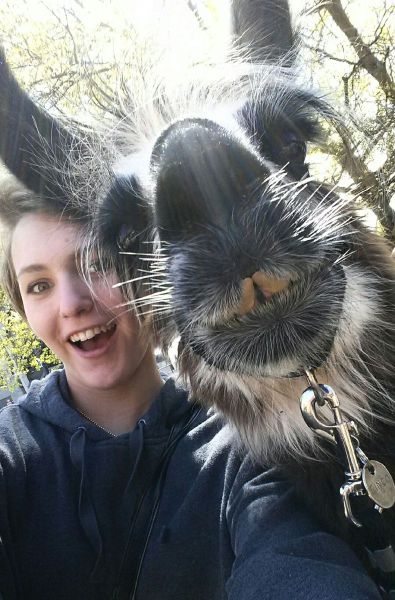 Morning Picdump