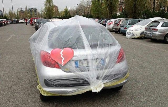 Morning Picdump