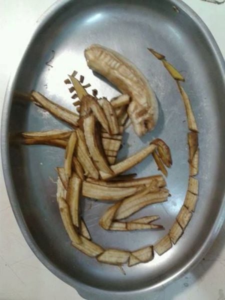 Morning Picdump