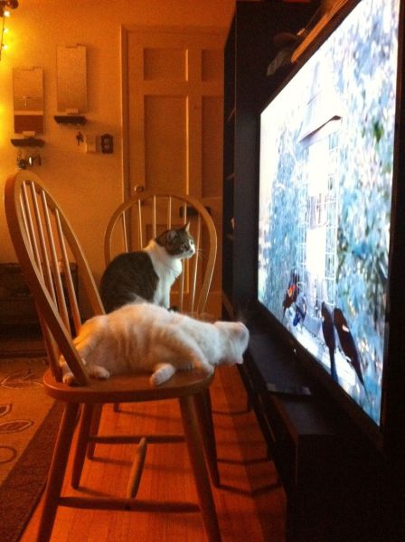 Morning Picdump