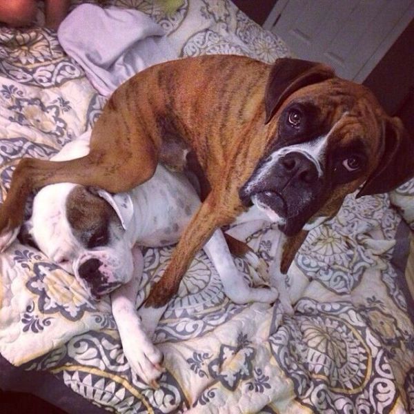 Morning Picdump
