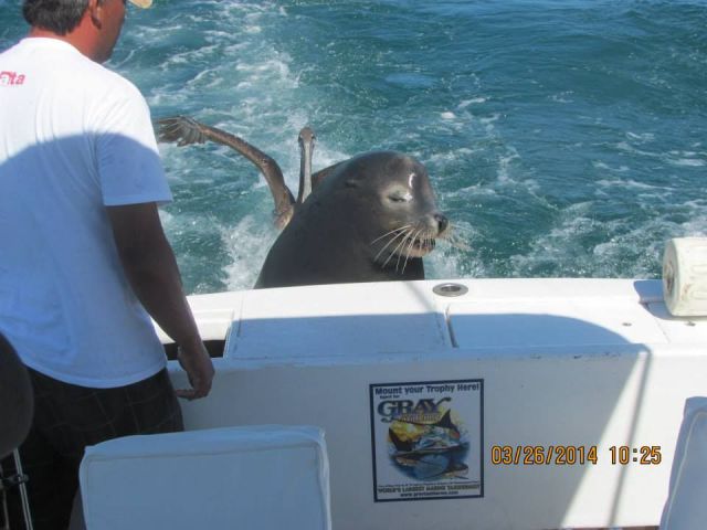 morning picdump 51 pics 9.html - 51 HD Photos | Premium Gallery 2014