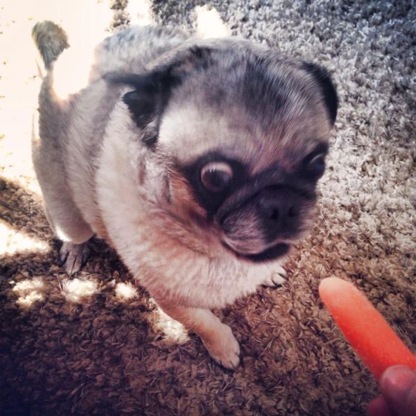 morning picdump 51 pics 9.html - 51 HD Photos | Premium Gallery 2014