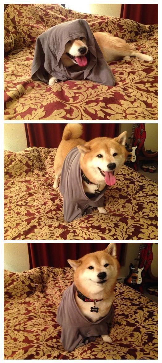 morning picdump 51 pics 9.html - 51 HD Photos | Premium Gallery 2014