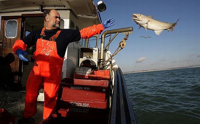 daily picdump 98 pics 45.html - 98 HD Photos | Premium Gallery 2014