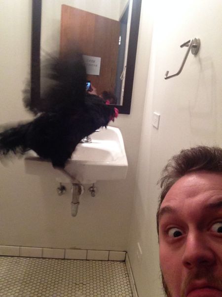 daily picdump 98 pics 45.html - 98 HD Photos | Premium Gallery 2014