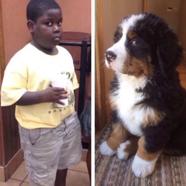 daily picdump 98 pics 45.html - 98 HD Photos | Premium Gallery 2014